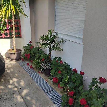 Apartments Ratkovic Trebinje Ngoại thất bức ảnh