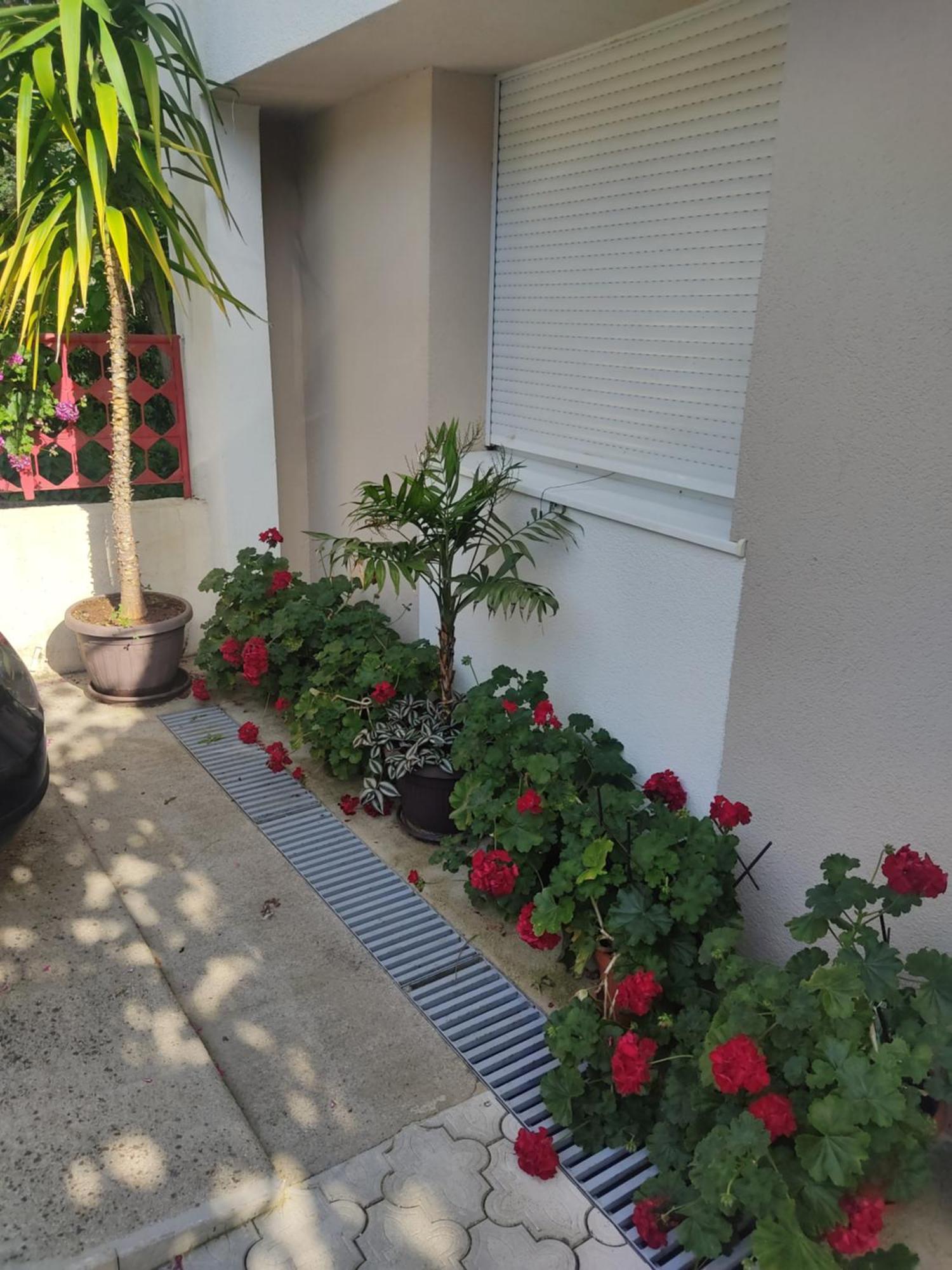 Apartments Ratkovic Trebinje Ngoại thất bức ảnh
